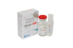 MECEFT-1-GM