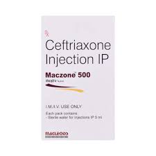 Maczone - Ceftriaxone 500 mg Injection