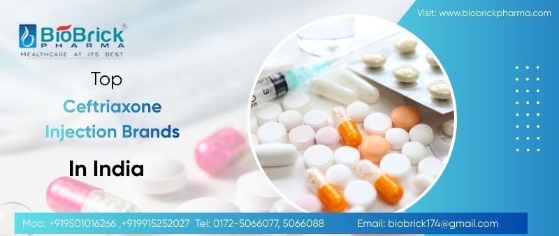 Top 10 Ceftriaxone Injection Brands in India