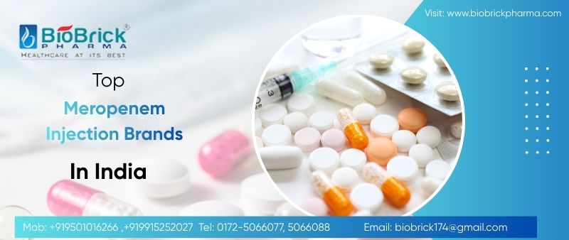Top 10 Meropenem Injection Brands in India
