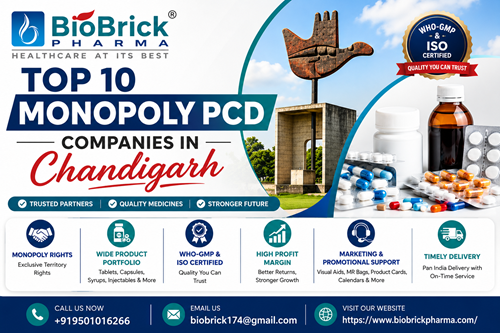 Top 10 Monopoly PCD Companies In Chandigarh 