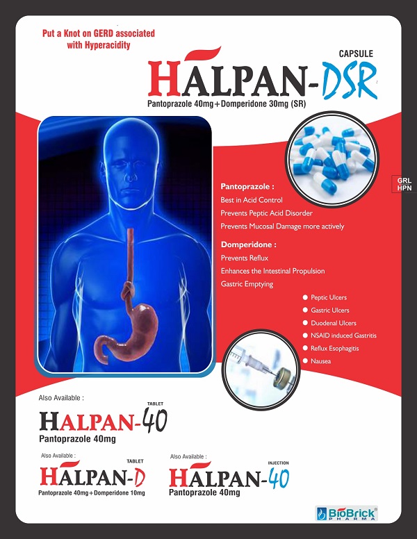 HALPAN-DSR (1)