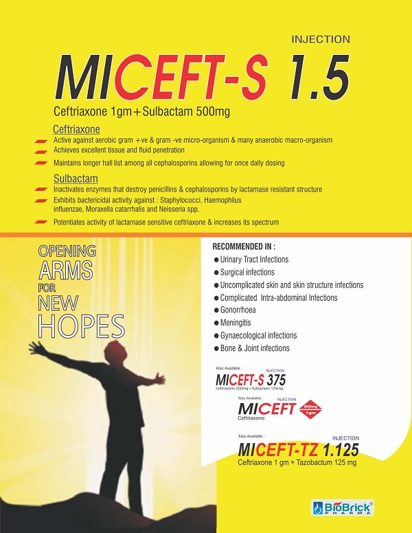 MICEFT-S-1.5